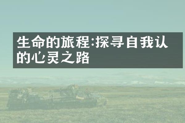 生命的旅程:探寻自我认同的心灵之路
