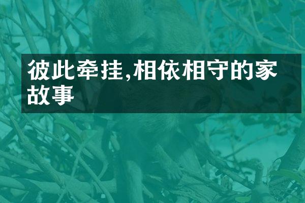 彼此牵挂,相依相守的家庭故事