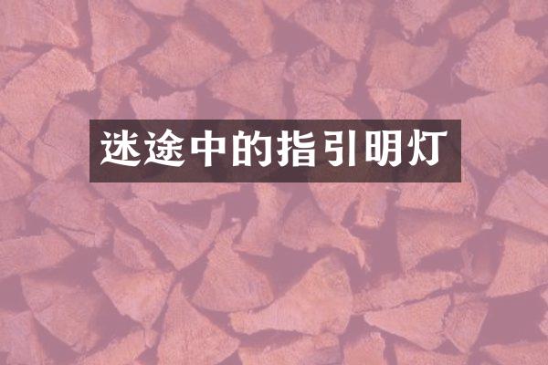 迷途中的指引明灯
