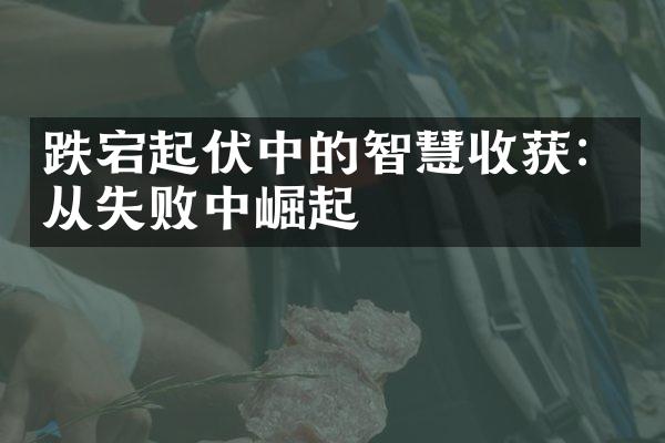 跌宕起伏中的智慧收获：从失败中崛起