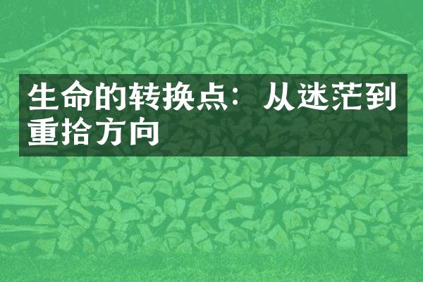生命的转换点：从迷茫到重拾方向