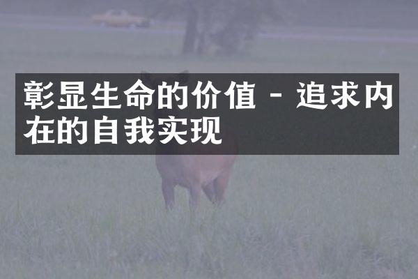 彰显生命的价值 - 追求内在的自我实现