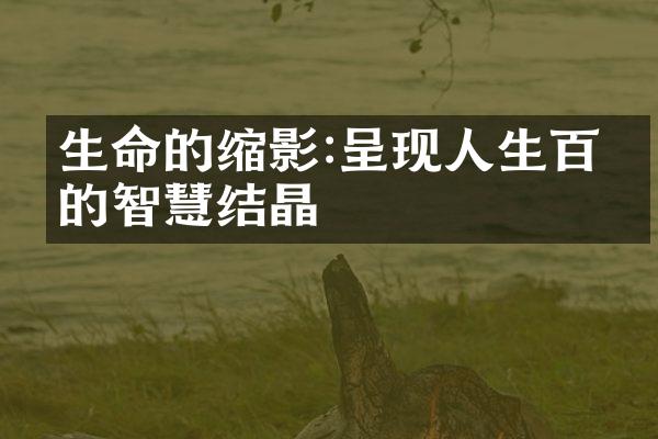 生命的缩影:呈现人生百态的智慧结晶