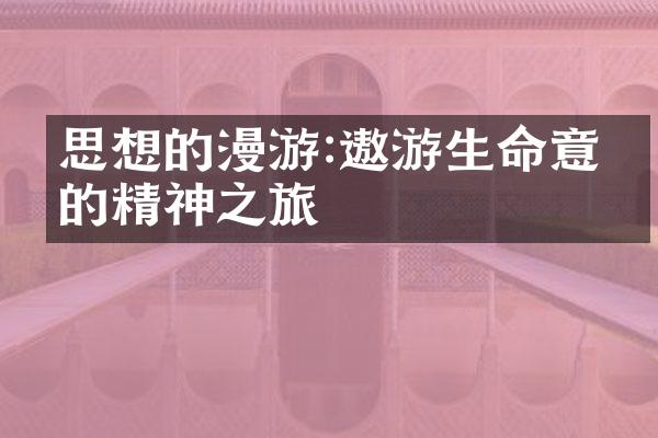 思想的漫游:遨游生命意义的精神之旅
