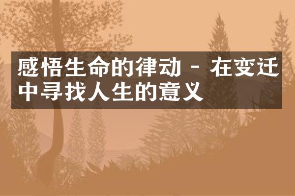 感悟生命的律动 - 在变迁中寻找人生的意义