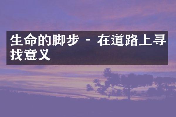 生命的脚步 - 在道路上寻找意义