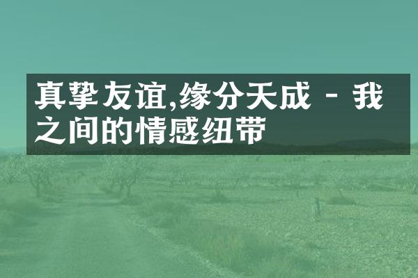 真挚友谊,缘分天成 - 我们之间的情感纽带
