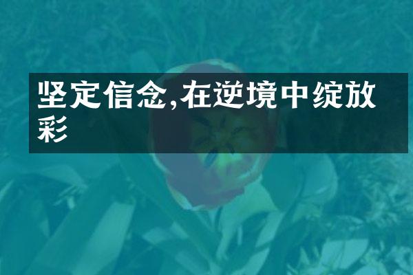 坚定信念,在逆境中绽放光彩