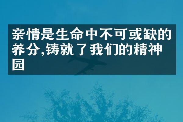 亲情是生命中不可或缺的养分,铸就了我们的精神家园