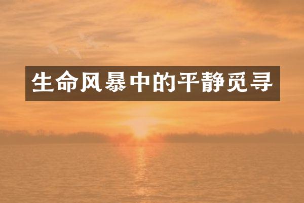 生命风暴中的平静觅寻