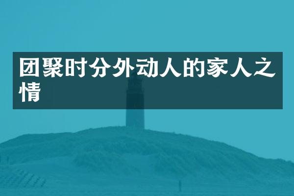 团聚时分外动人的家人之情