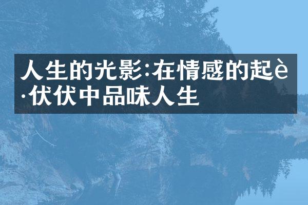 人生的光影:在情感的起起伏伏中品味人生