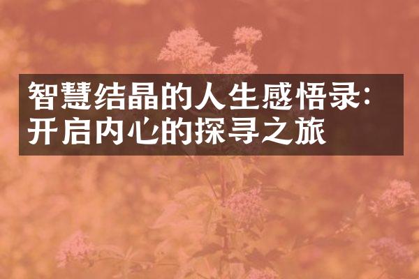 智慧结晶的人生感悟录：开启内心的探寻之旅