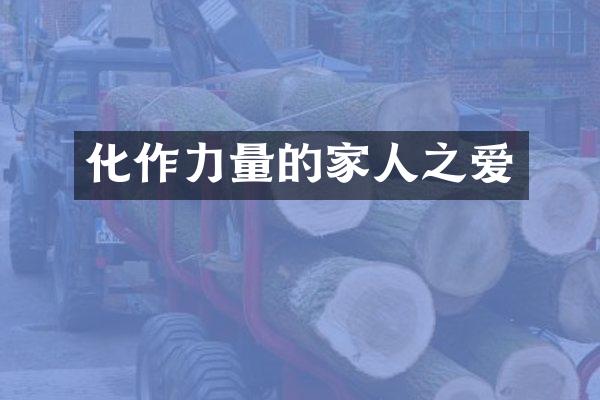 化作力量的家人之爱