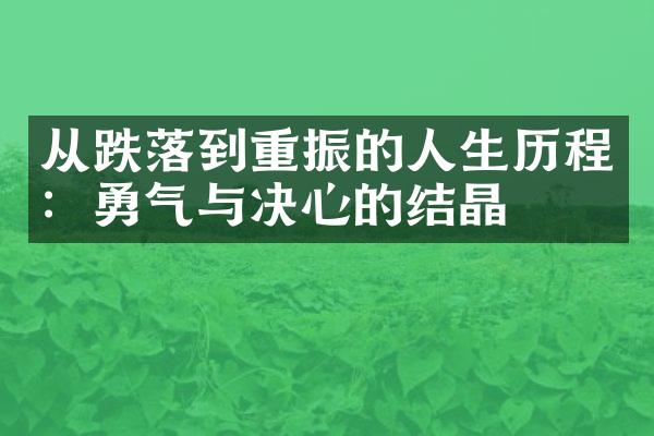 从跌落到重振的人生：勇气与决心的结晶