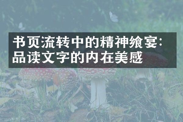 书页流转中的精神飨宴：品读文字的内在美感