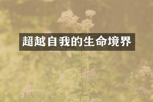 超越自我的生命境界