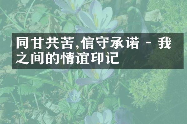 同甘共苦,信守承诺 - 我们之间的情谊印记