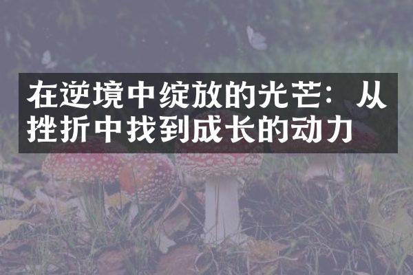 在逆境中绽放的光芒：从挫折中找到成长的动力