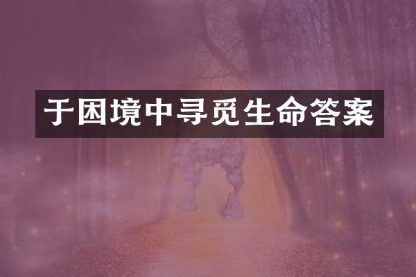 于困境中寻觅生命答案
