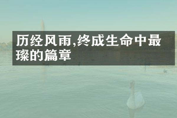 历经风雨,终成生命中最璀璨的篇章