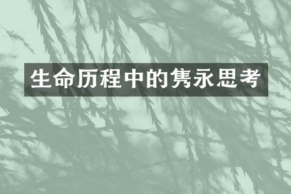 生命中的隽永思考