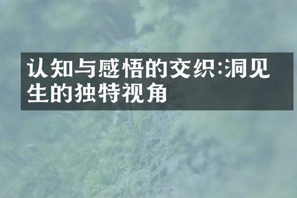 认知与感悟的交织:洞见人生的独特视角