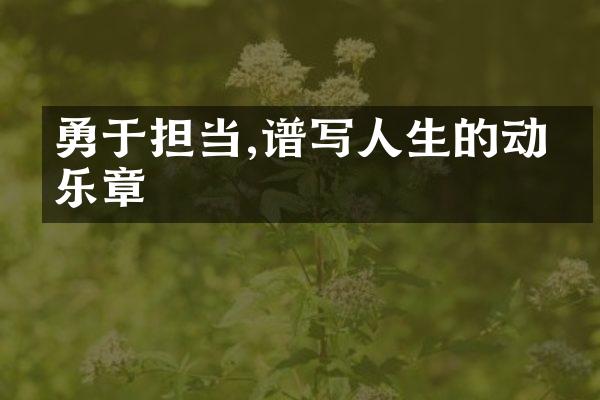 勇于担当,谱写人生的动人乐章