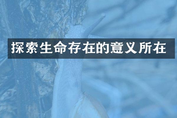 探索生命存在的意义所在