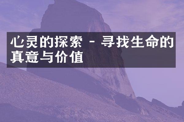 心灵的探索 - 寻找生命的真意与价值