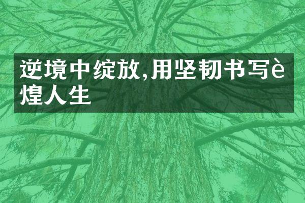 逆境中绽放,用坚韧书写辉煌人生