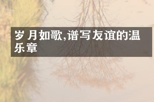 岁月如歌,谱写友谊的温暖乐章