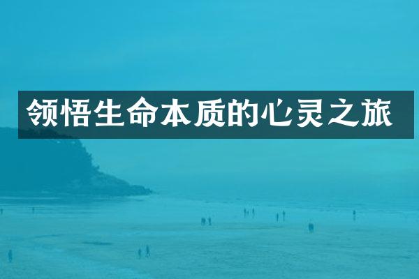 领悟生命本质的心灵之旅