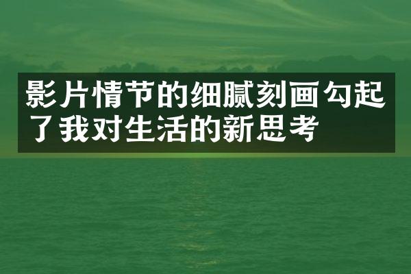 影片情节的细腻刻画勾起了我对生活的新思考
