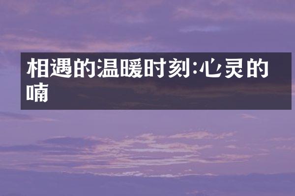相遇的温暖时刻:心灵的呢喃