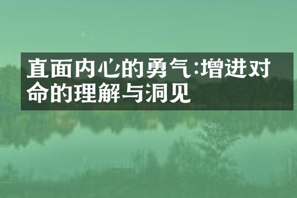 直面内心的勇气:增进对生命的理解与洞见