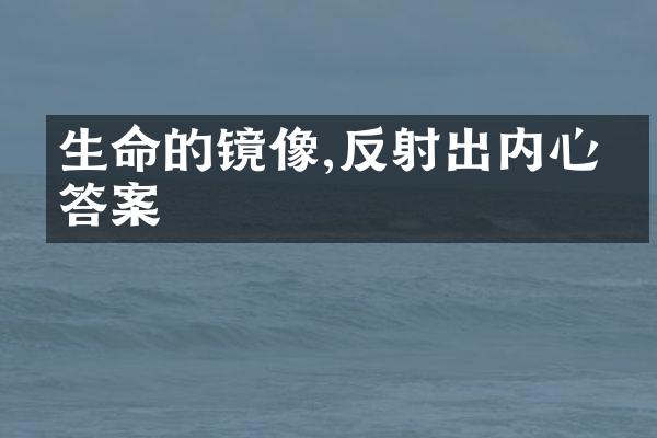 生命的镜像,反射出内心的答案
