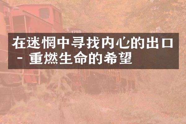 在迷惘中寻找内心的出口 - 重燃生命的希望