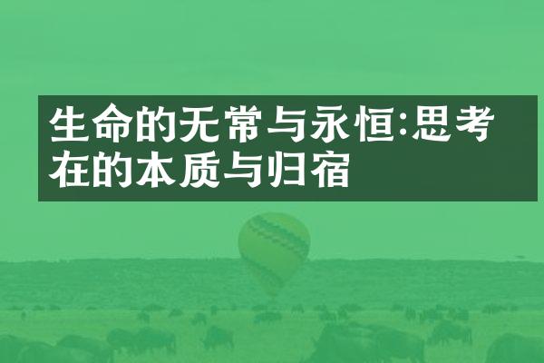 生命的无常与永恒:思考存在的本质与归宿