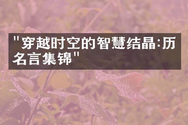 "穿越时空的智慧结晶:历史名言集锦"