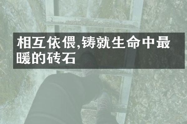 相互依偎,铸就生命中最温暖的砖石