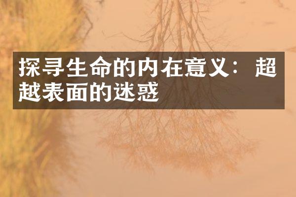 探寻生命的内在意义：超越表面的迷惑