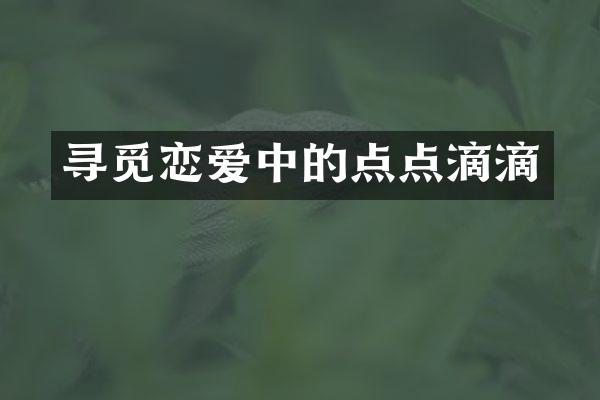 寻觅恋爱中的点点滴滴