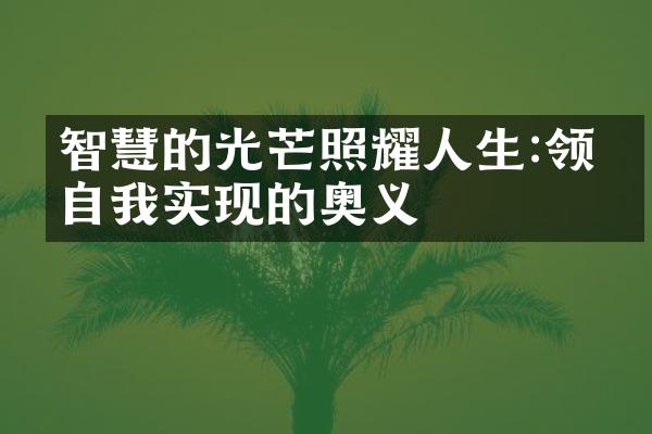 智慧的光芒照耀人生:领悟自我实现的奥义