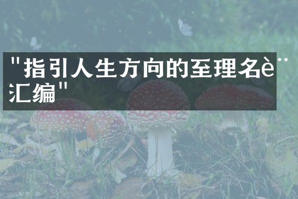 "指引人生方向的至理名言汇编"