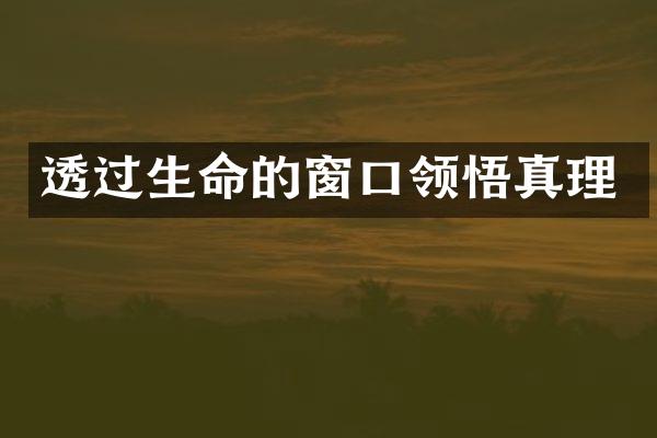 透过生命的窗口领悟真理