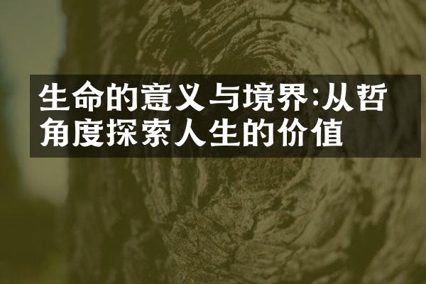 生命的意义与境界:从哲学角度探索人生的价值