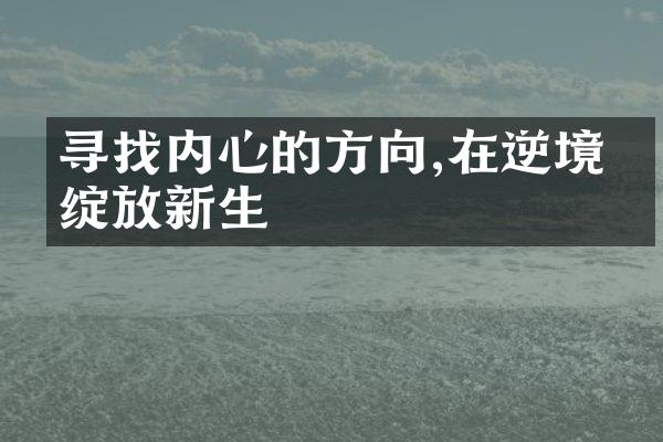 寻找内心的方向,在逆境中绽放新生