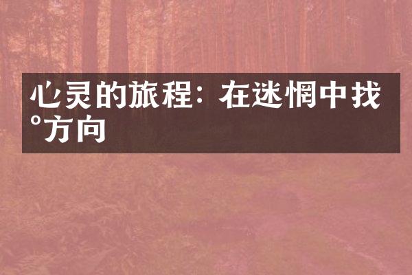 心灵的旅程: 在迷惘中找到方向