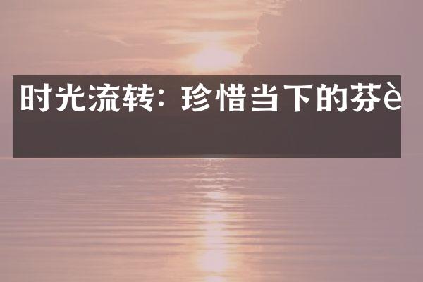 时光流转: 珍惜当下的芬芳